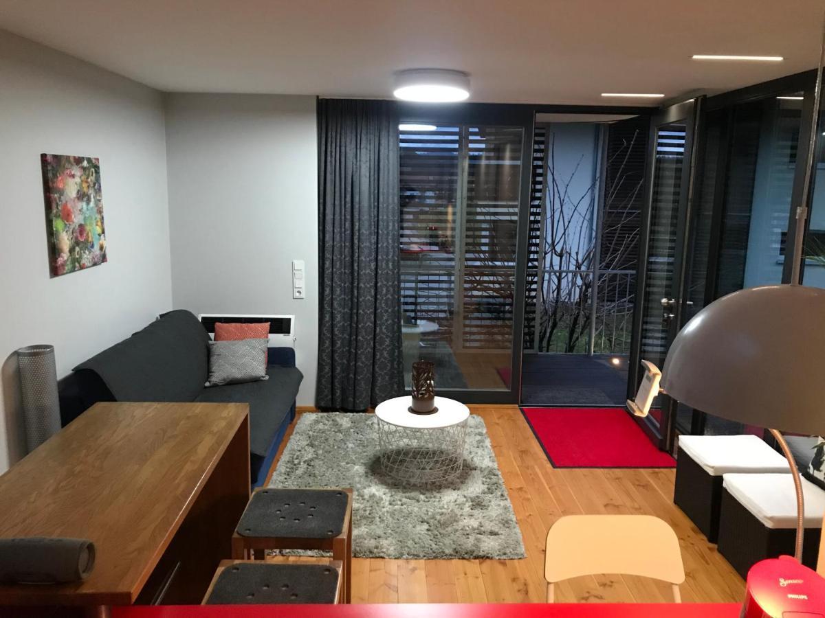S-Suite Das Design-Ferienhaus Im Schwarzwald Biberach  Екстер'єр фото