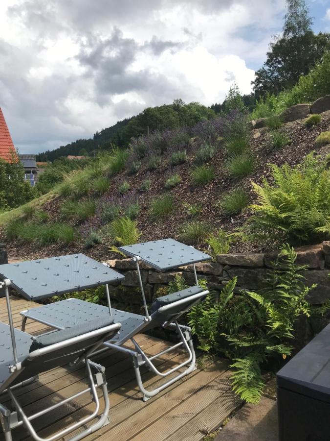 S-Suite Das Design-Ferienhaus Im Schwarzwald Biberach  Екстер'єр фото